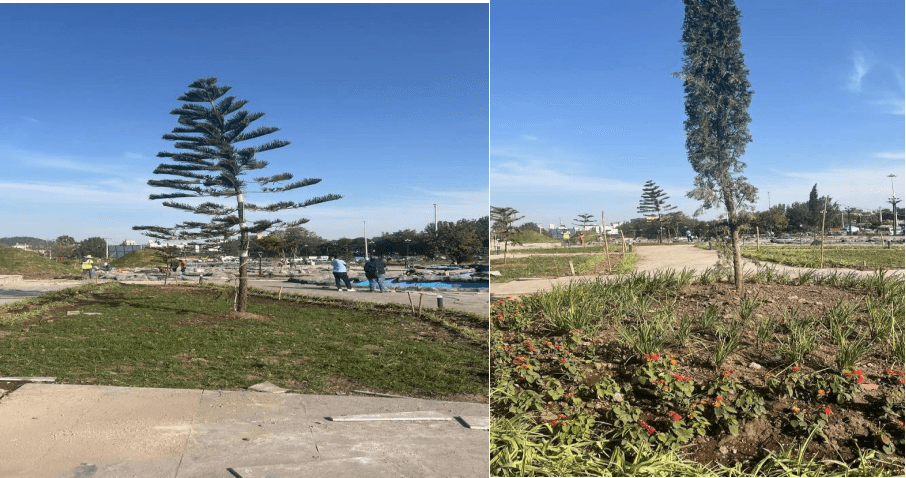 Bishoftu Corridor Development Project - Image 3